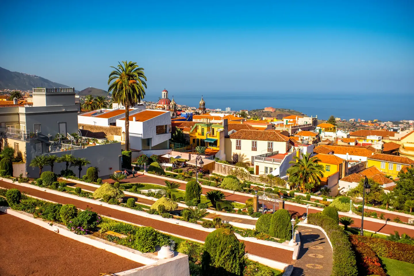 Terraced botanical garden with palms above the coast